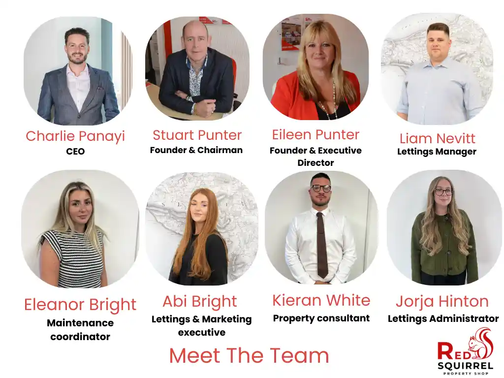 our experienced team